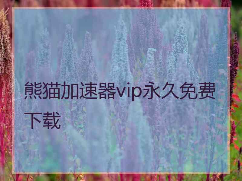 熊猫加速器vip永久免费下载