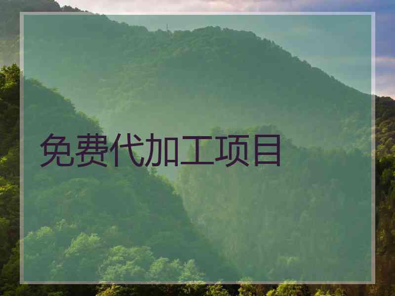 免费代加工项目