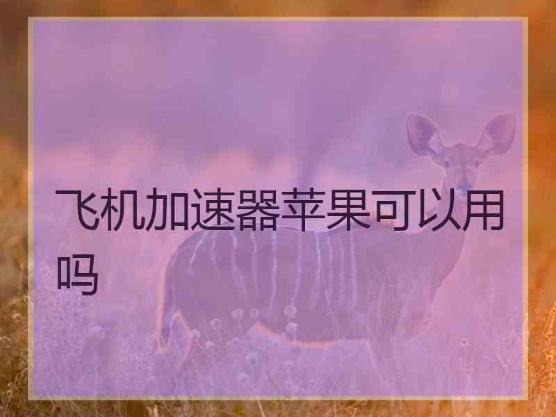飞机加速器苹果可以用吗