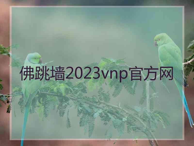 佛跳墙2023vnp官方网