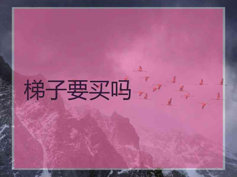 梯子要买吗