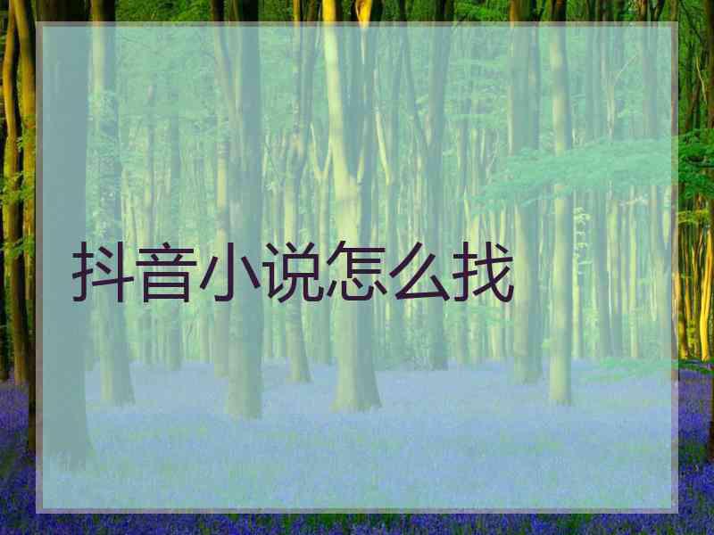 抖音小说怎么找