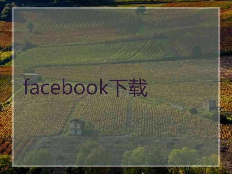 facebook下载