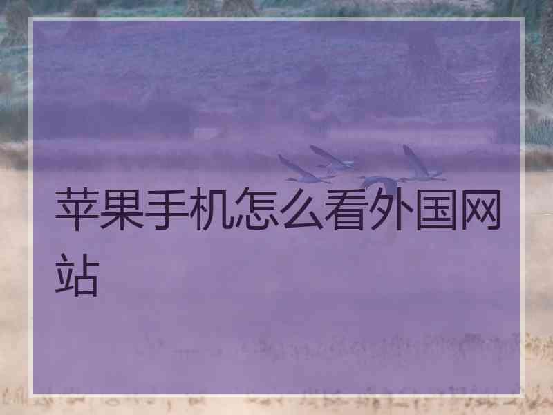 苹果手机怎么看外国网站