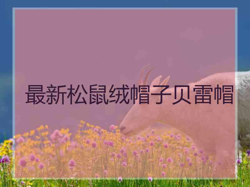 最新松鼠绒帽子贝雷帽