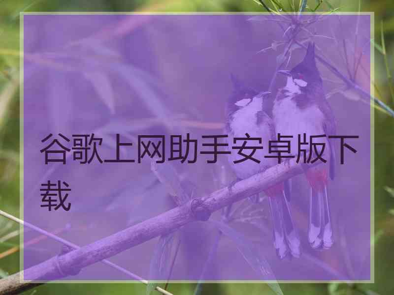 谷歌上网助手安卓版下载