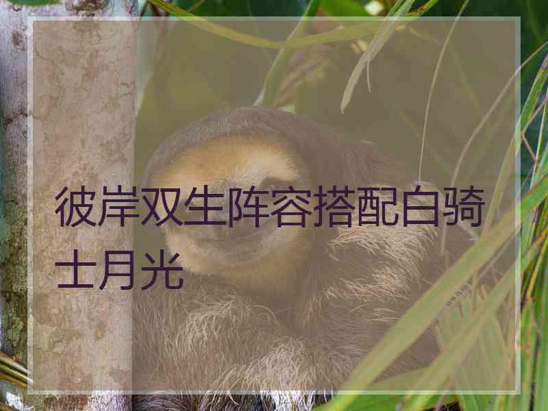 彼岸双生阵容搭配白骑士月光