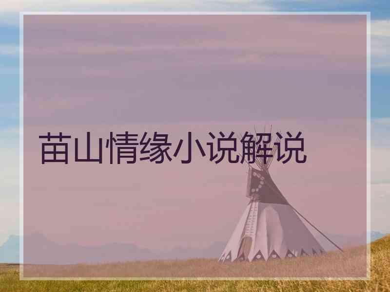 苗山情缘小说解说