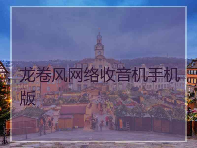 龙卷风网络收音机手机版