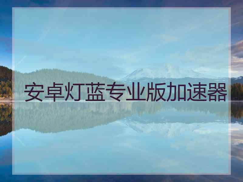 安卓灯蓝专业版加速器