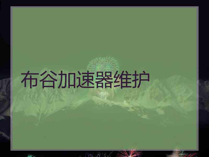 布谷加速器维护