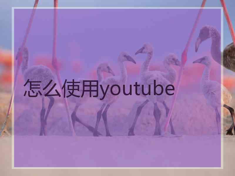 怎么使用youtube