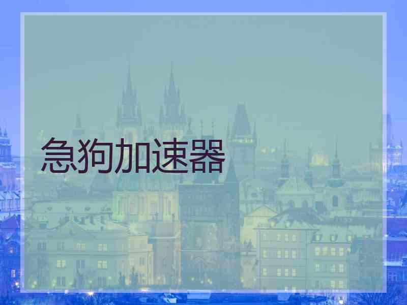 急狗加速器