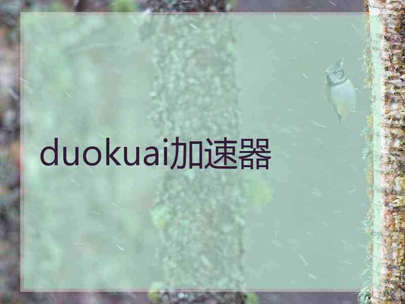 duokuai加速器
