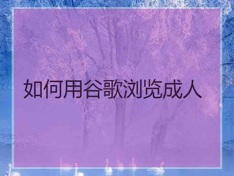 如何用谷歌浏览成人