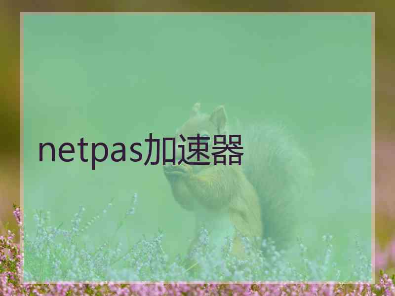 netpas加速器