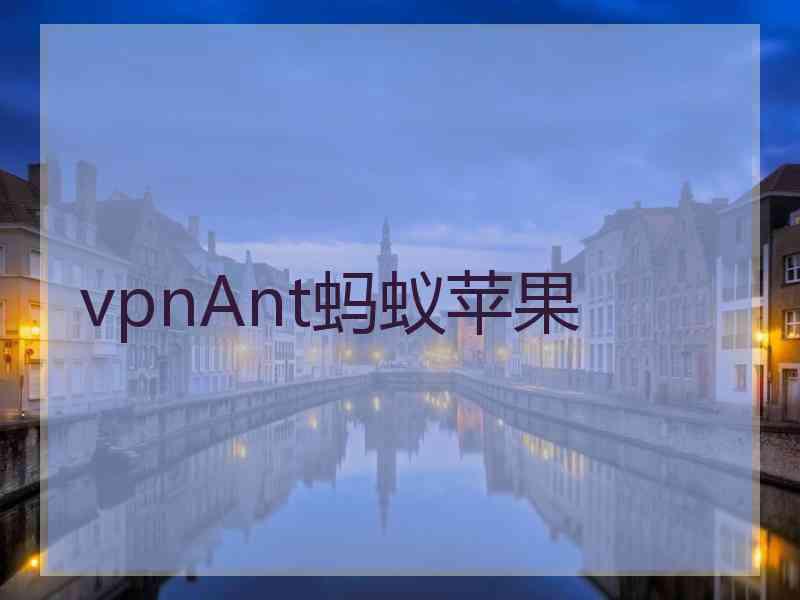vpnAnt蚂蚁苹果