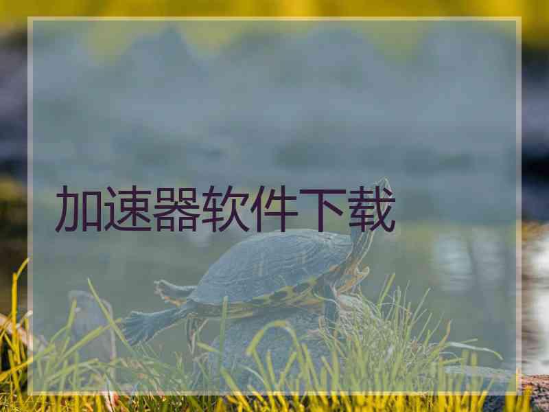 加速器软件下载