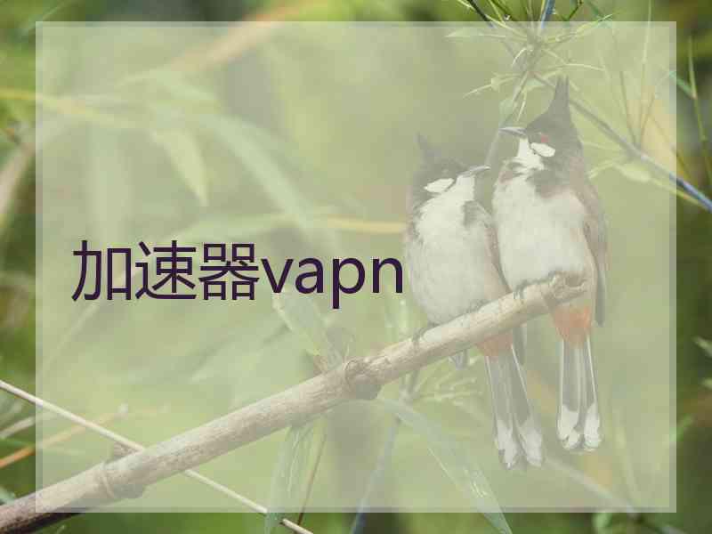 加速器vapn