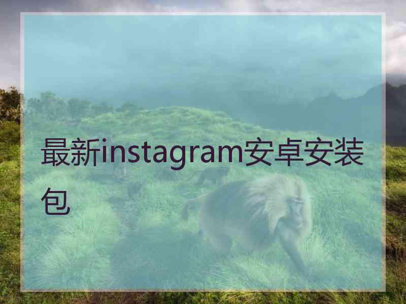 最新instagram安卓安装包