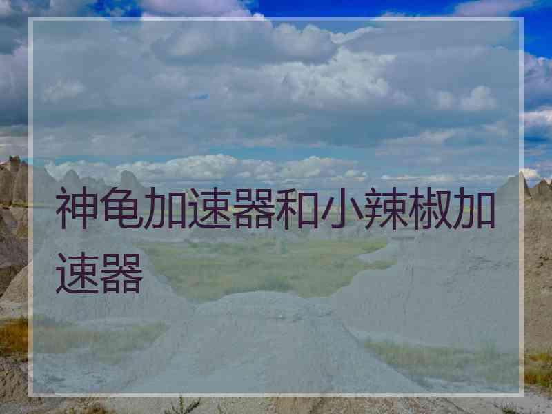 神龟加速器和小辣椒加速器