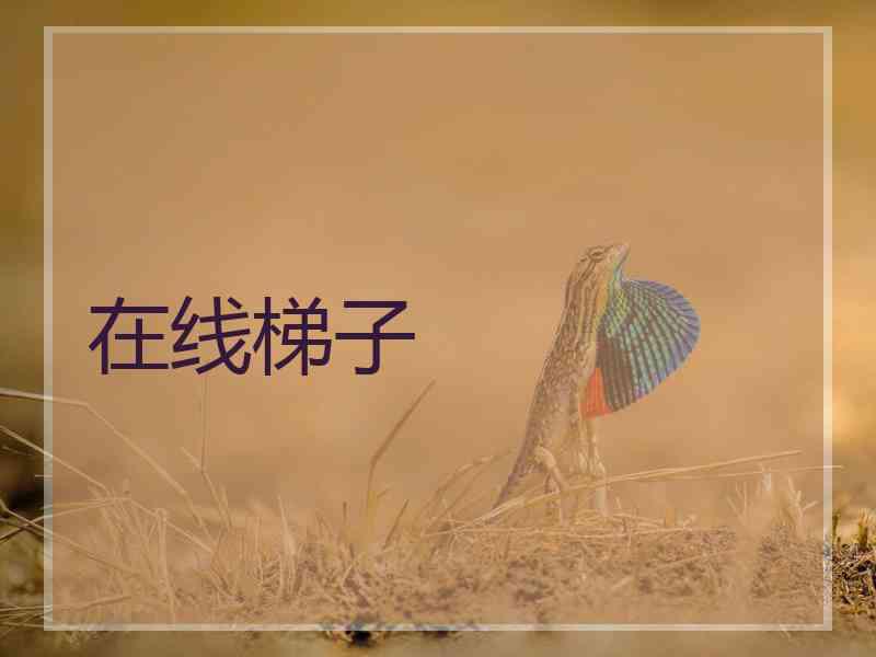 在线梯子