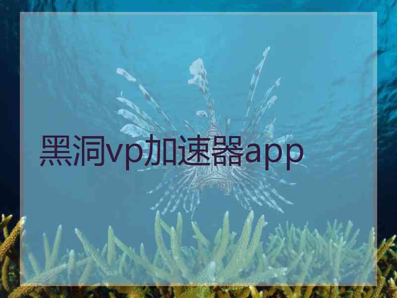 黑洞vp加速器app