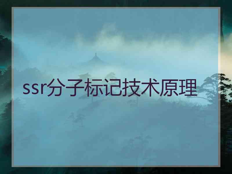 ssr分子标记技术原理