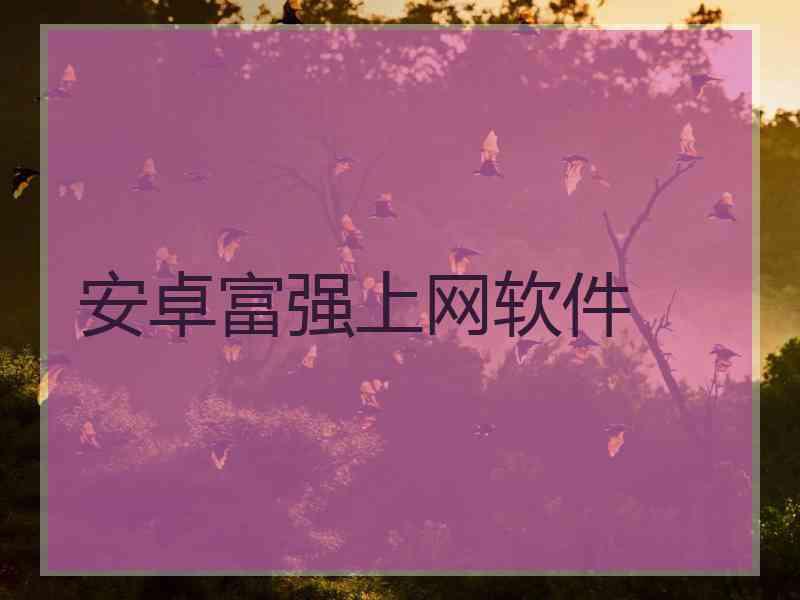 安卓富强上网软件