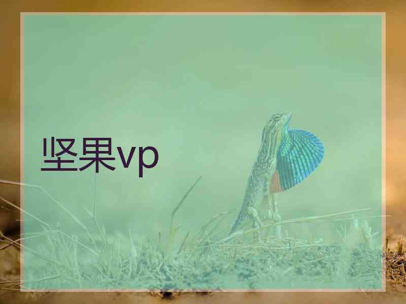 坚果vp