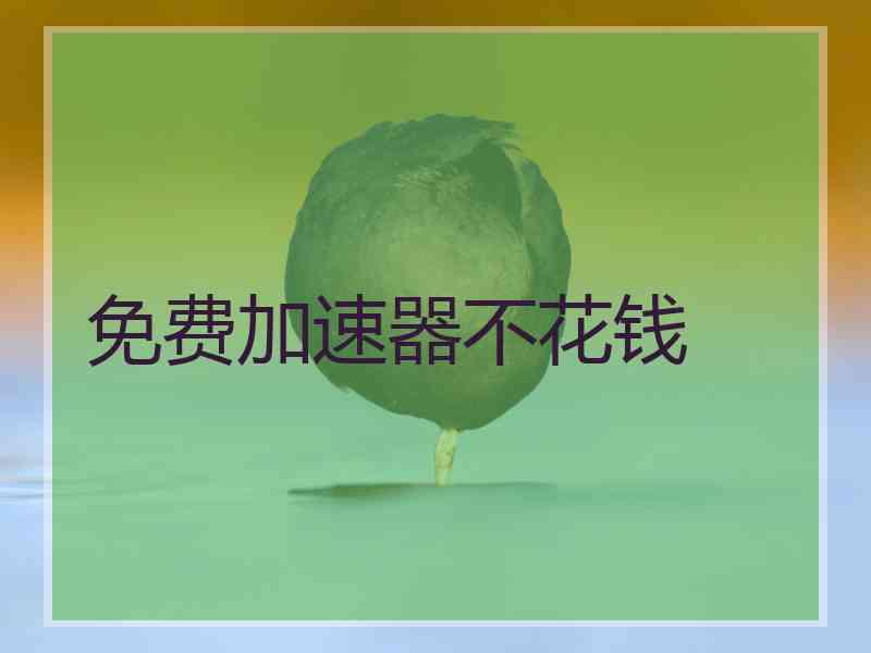 免费加速器不花钱