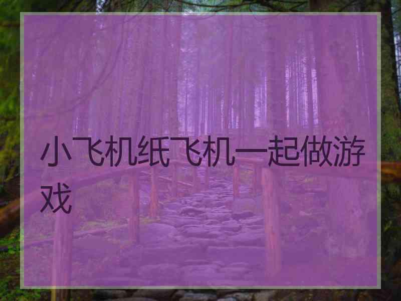 小飞机纸飞机一起做游戏