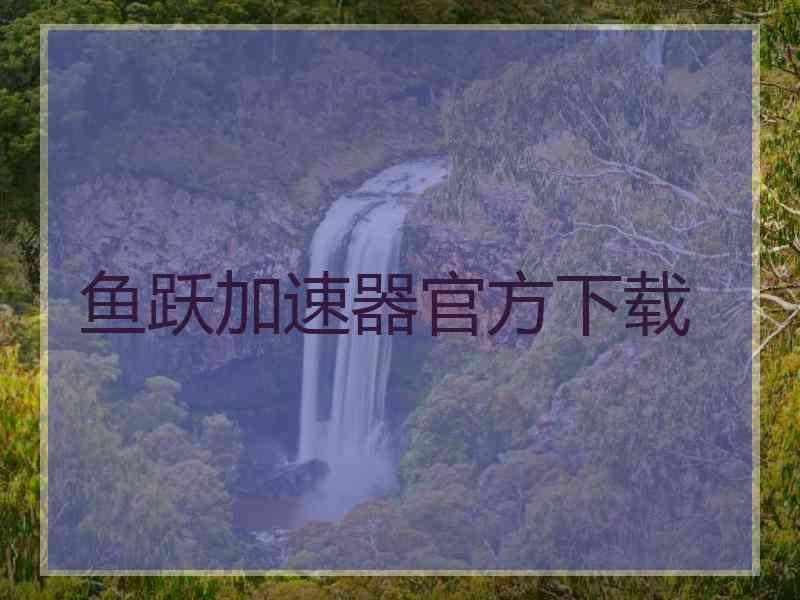 鱼跃加速器官方下载