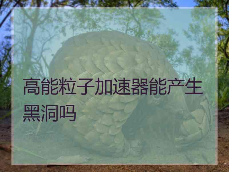 高能粒子加速器能产生黑洞吗