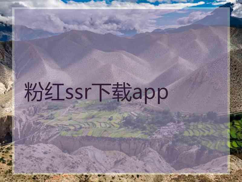 粉红ssr下载app