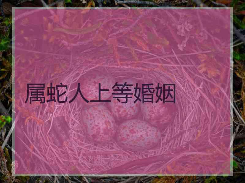 属蛇人上等婚姻