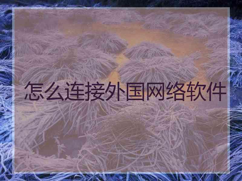 怎么连接外国网络软件