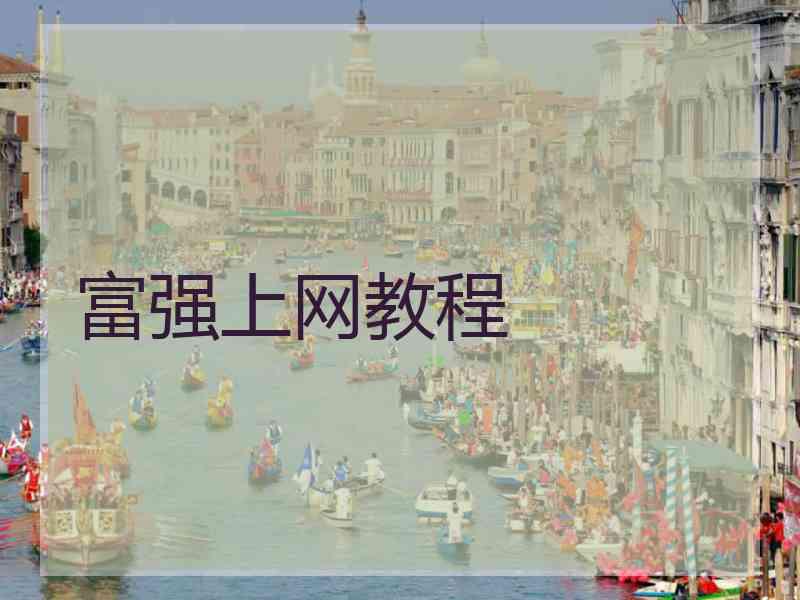 富强上网教程