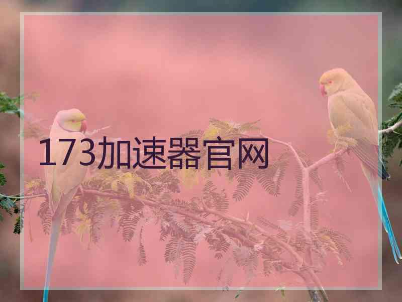 173加速器官网