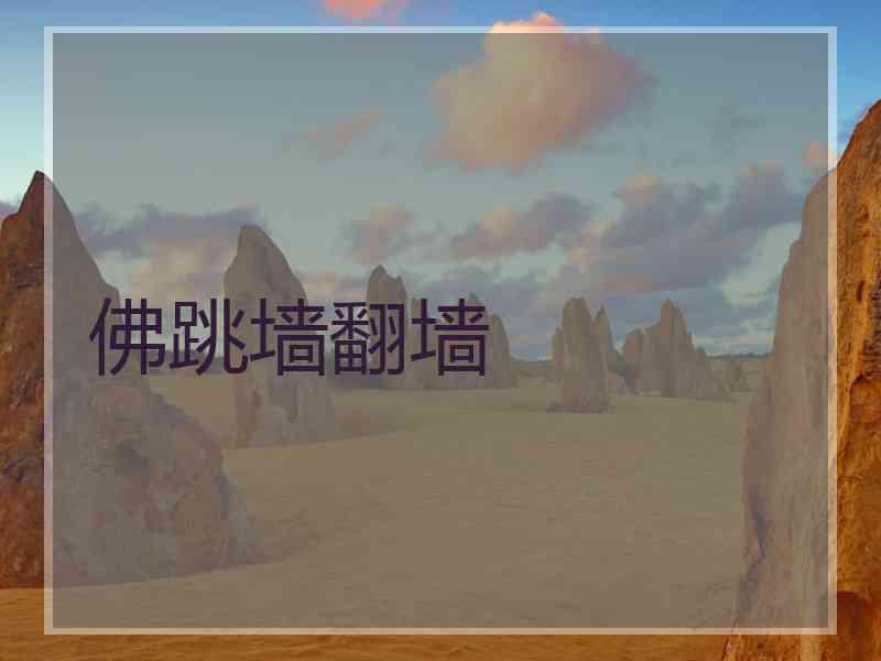 佛跳墙翻墙