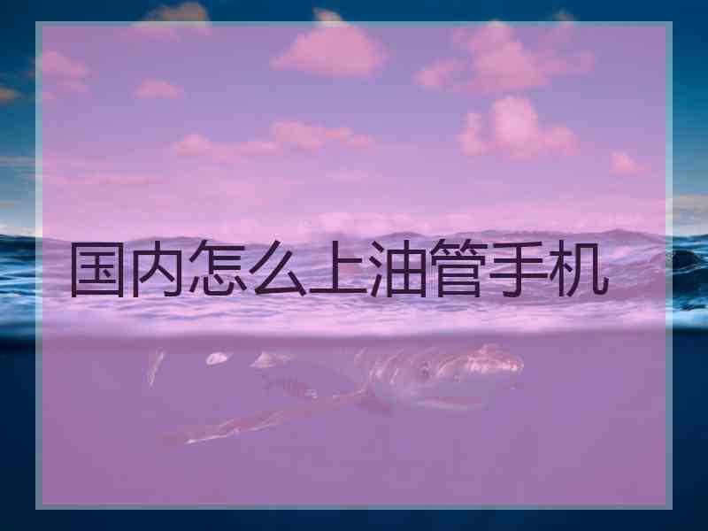 国内怎么上油管手机