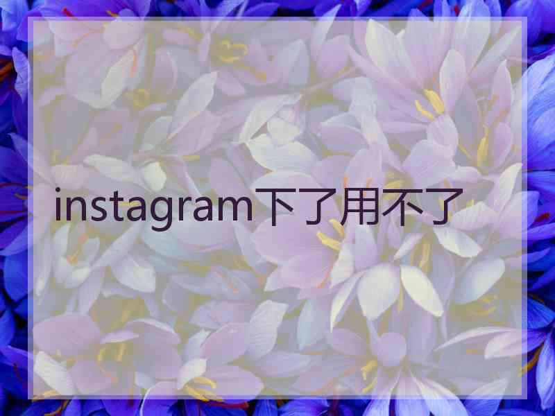 instagram下了用不了