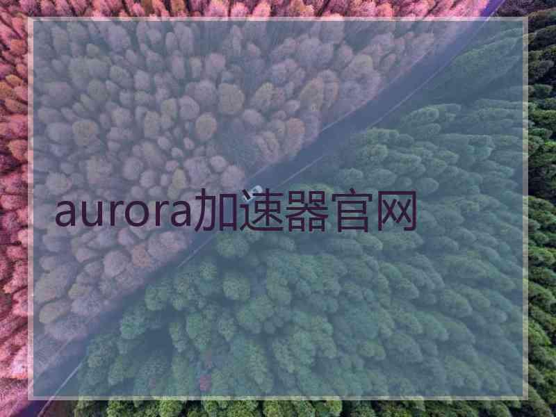 aurora加速器官网