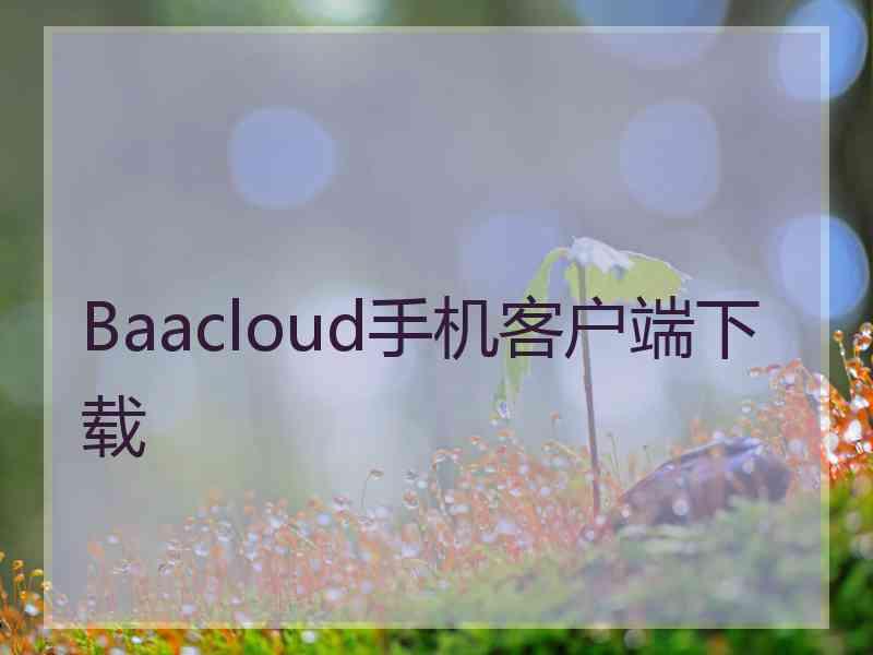 Baacloud手机客户端下载