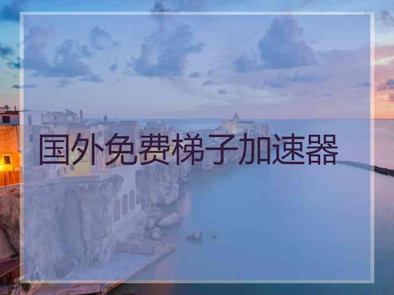 国外免费梯子加速器