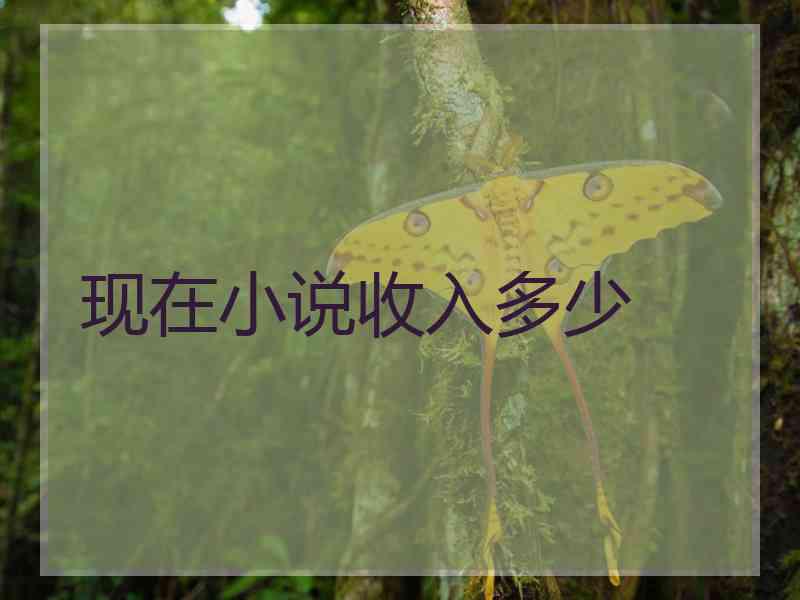 现在小说收入多少