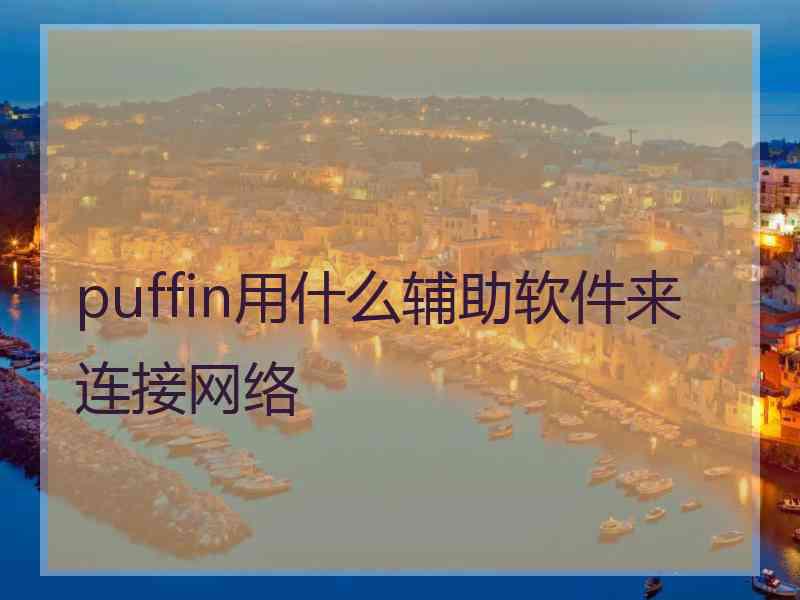 puffin用什么辅助软件来连接网络