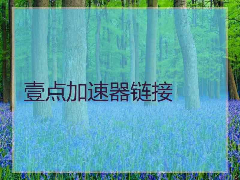 壹点加速器链接
