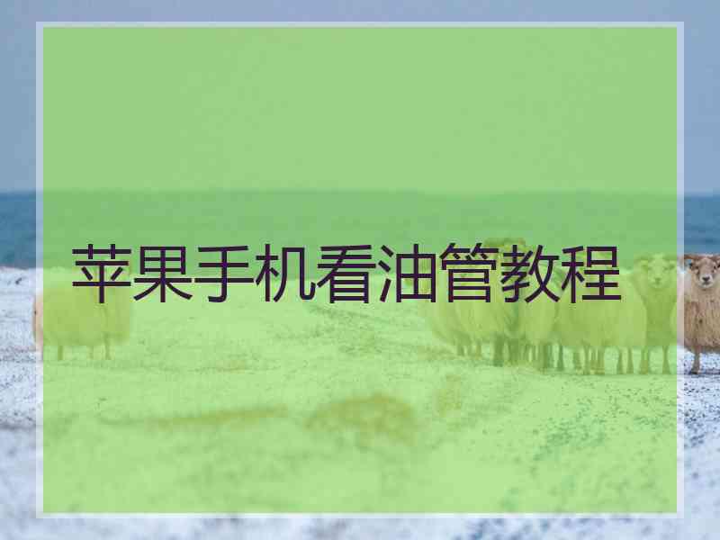 苹果手机看油管教程