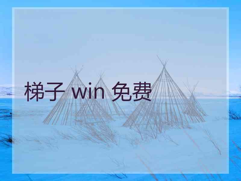 梯子 win 免费